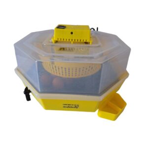 Инкубатор Cleo 5 DTH+ 1