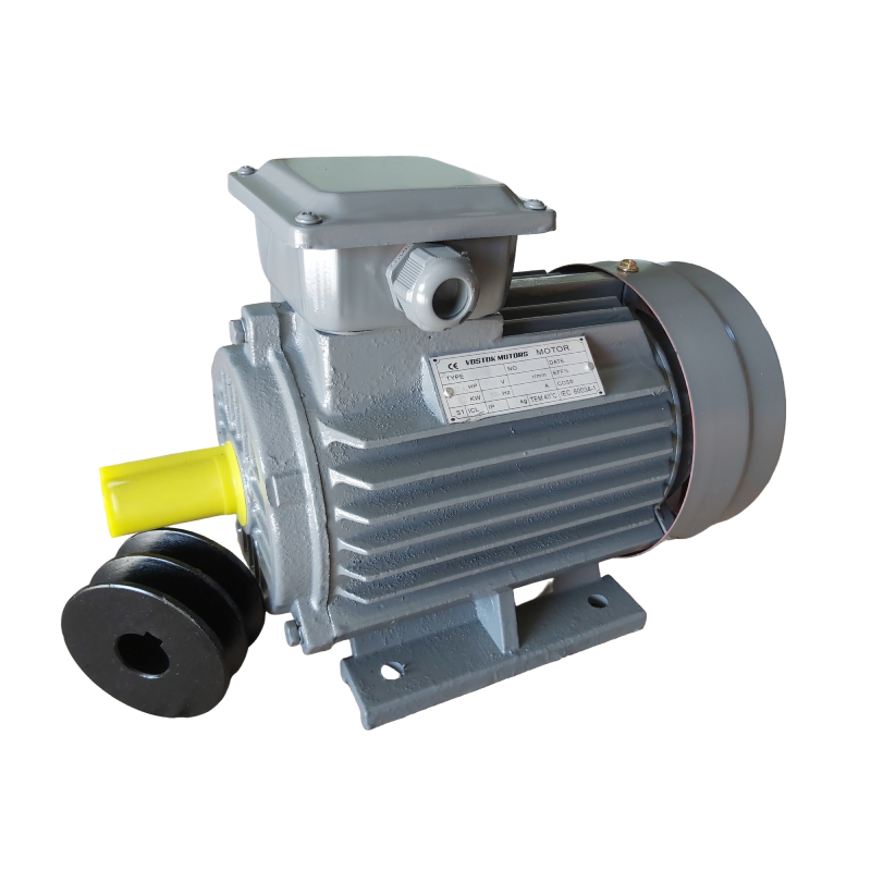 Трифазен електромотор VOSTOK MOTORS 3kW/2850rpm, БДС