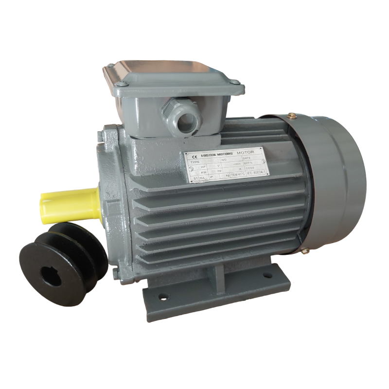 Трифазен електромотор VOSTOK MOTORS 3kW/2850rpm, БДС - Image 2